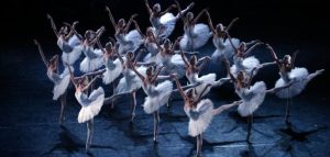 Smvonia Lake Swan - موضوع